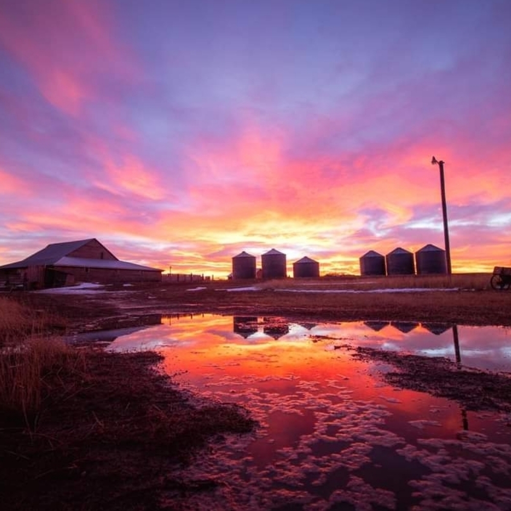 Meet your Posher, Brenda